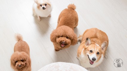 币易交易所app官网下载