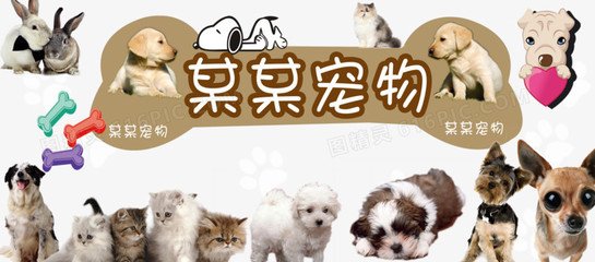 im token钱包官网
