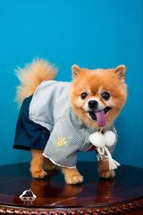 im钱包官网安卓app下载