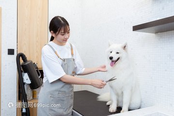 tp钱包官网