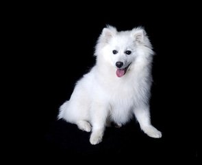 欧意app钱包下载钱包