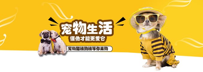 imtoken安卓版下载