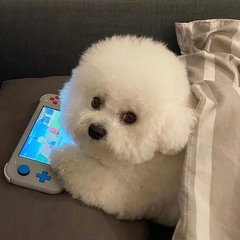 imkey钱包怎么转到银行卡