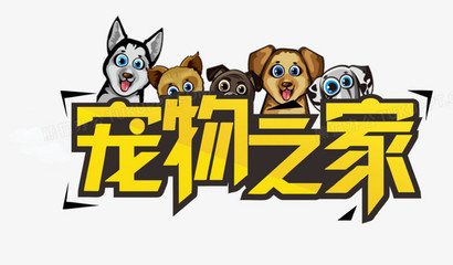 usdt手机钱包下载钱包