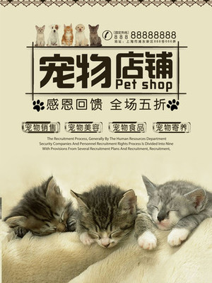 imkey查看绑定码