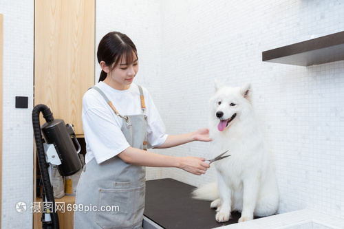 imkey硬件钱包是哪个国家
