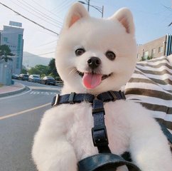 imtoken冷钱包官方版下载